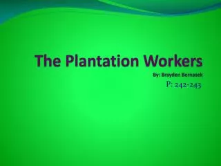 The Plantation Workers By: Brayden Bernasek