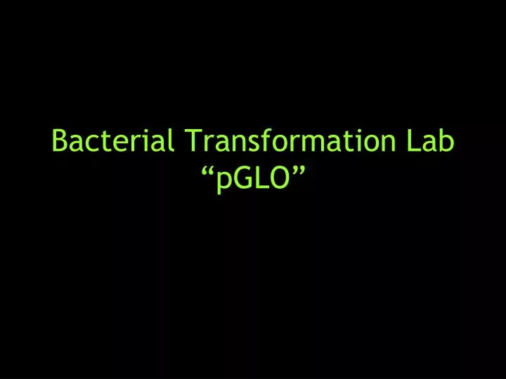 bacterial transformation lab pglo