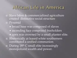 African Life in America