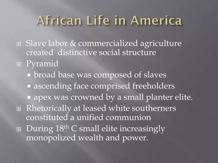 african life in america