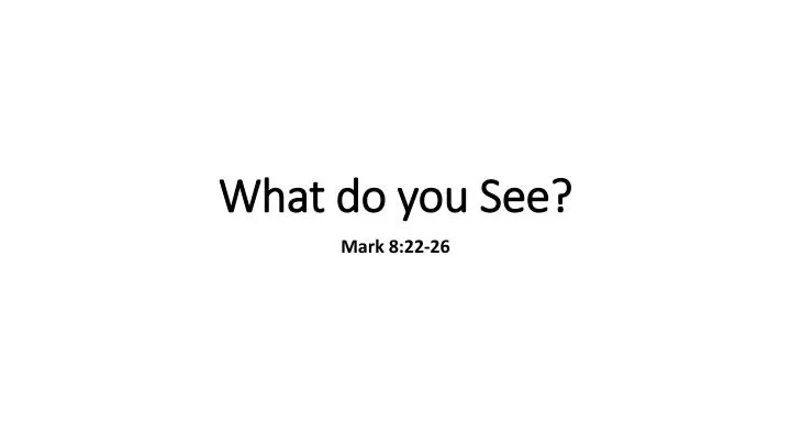 what do you see