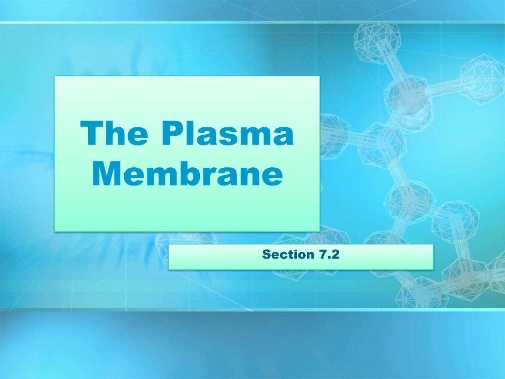 PPT - The Plasma Membrane PowerPoint Presentation, free download - ID ...