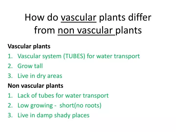 how do vascular plants differ from non vascular plants
