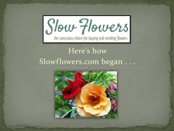 here s how slowflowers com began