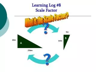 Learning Log #8 Scale Factor
