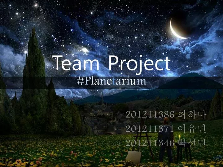 team project p l a n e t a r i u m