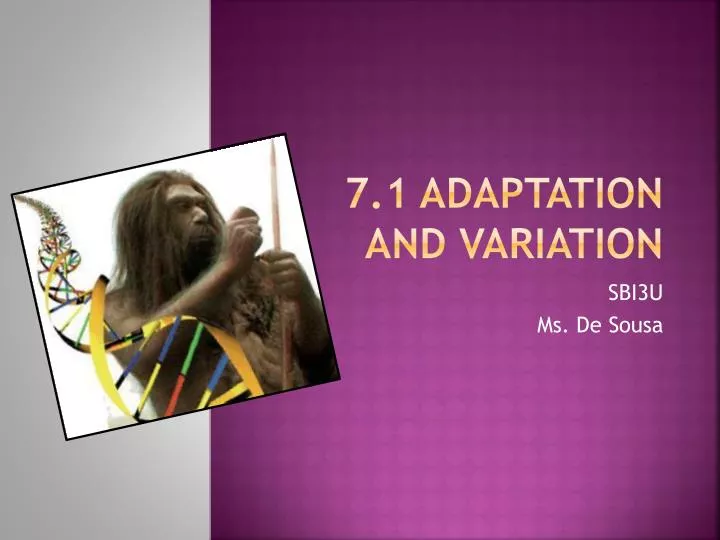 7 1 adaptation and variation