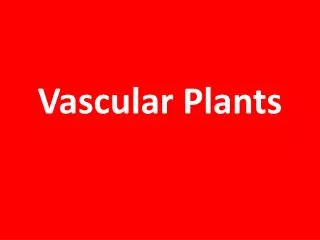 Vascular Plants