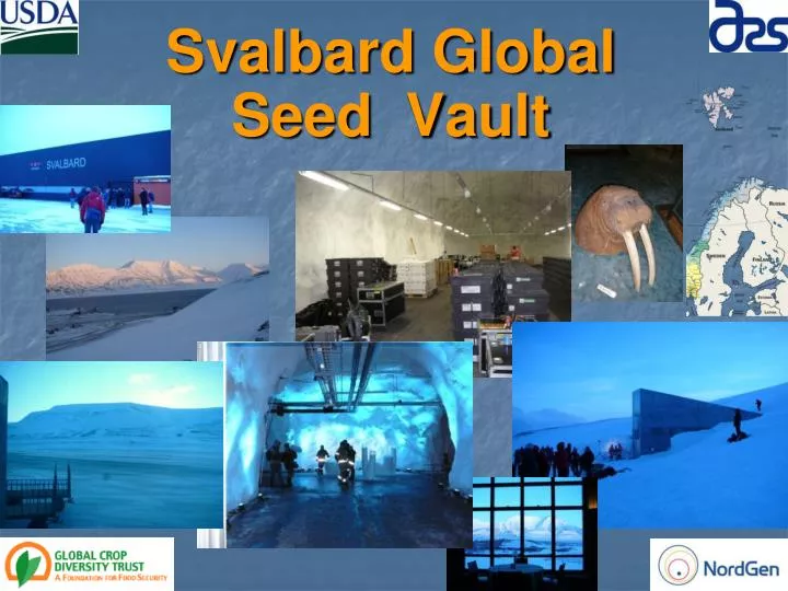 svalbard global seed vault