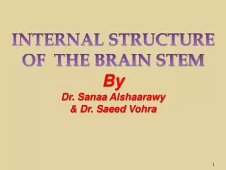 INTERNAL STRUCTURE OF THE BRAIN STEM By Dr. Sanaa Alshaarawy &amp; Dr. Saeed Vohra