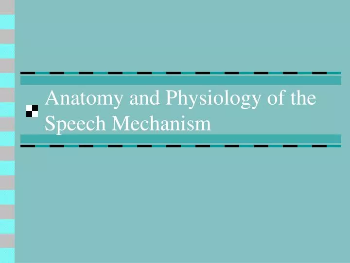anatomy and physiology of the speech mechanism