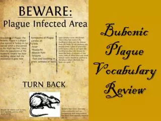 Bubonic Plague Vocabulary Review