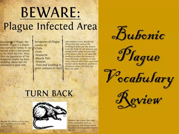 bubonic plague vocabulary review