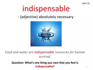 indispensable