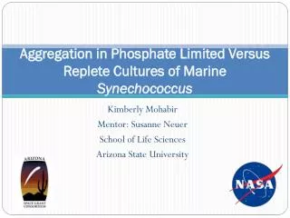 Aggregation in Phosphate Limited Versus Replete Cultures of Marine Synechococcus