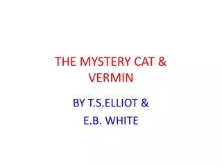 THE MYSTERY CAT &amp; VERMIN