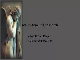 Adult Stem Cell Research