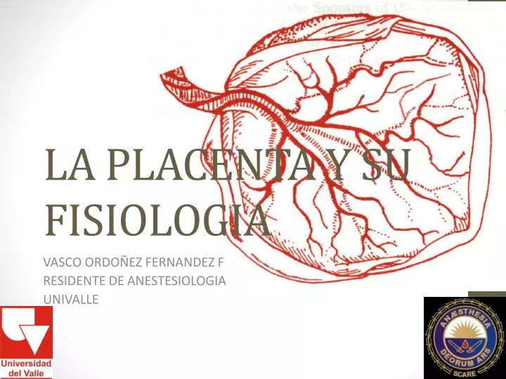 la placenta y su fisiologia