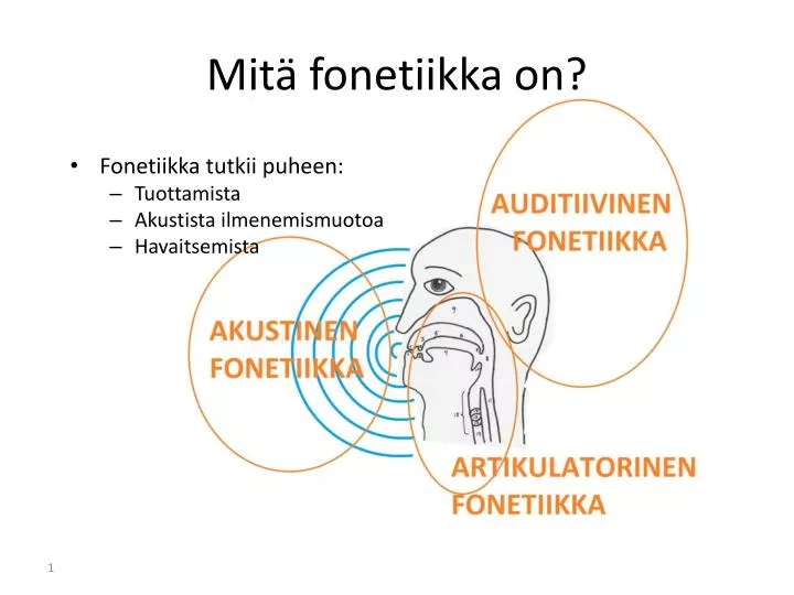 mit fonetiikka on