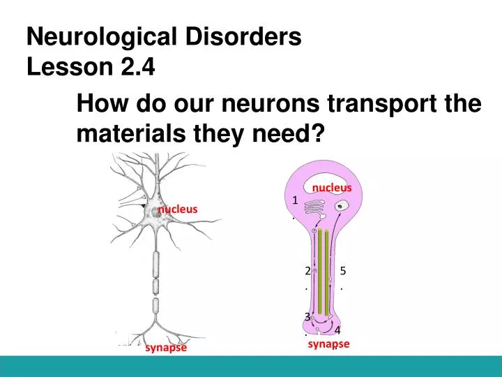 neurological disorders lesson 2 4