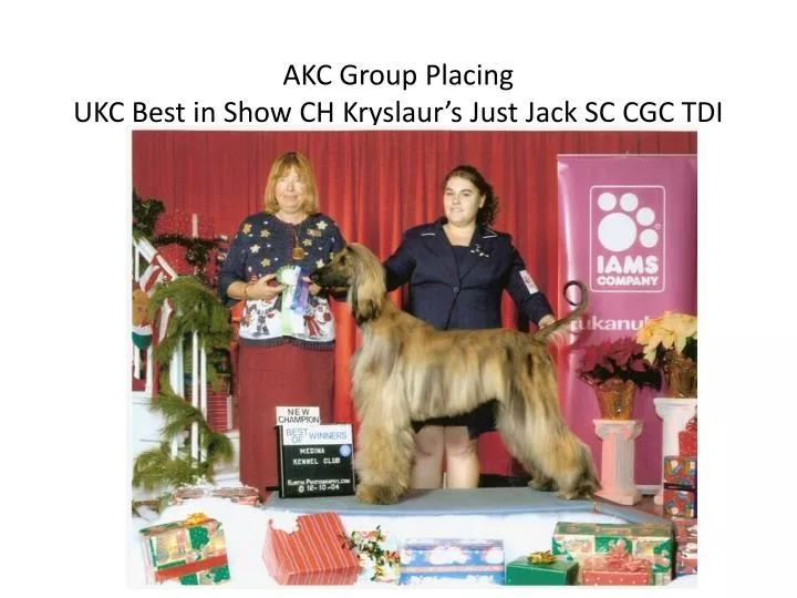 akc group placing ukc best in show ch kryslaur s just jack sc cgc tdi