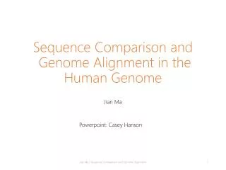 Sequence Comparison and Genome Alignment in the Human Genome