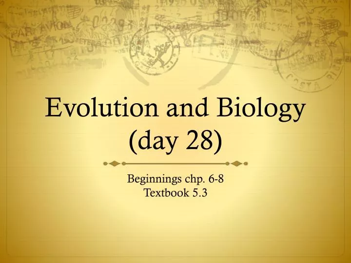 evolution and biology day 28