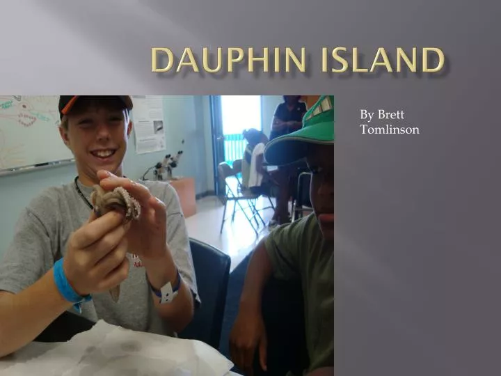 dauphin island