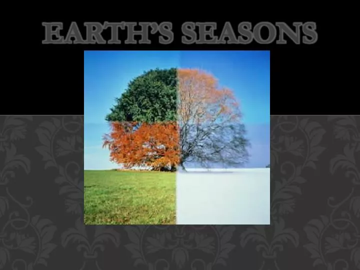 earth s seasons