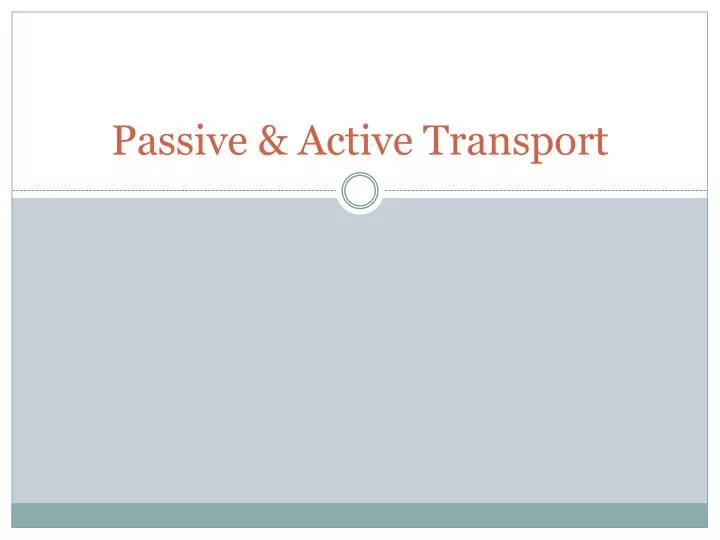 passive active transport