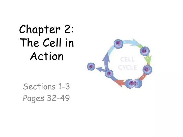 chapter 2 the cell in action