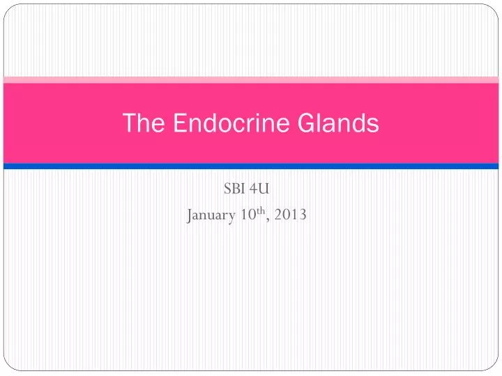 the endocrine glands
