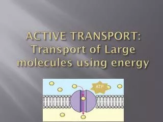 ACTIVE TRANSPORT: Transport of Large molecules using energy