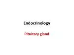 Endocrinology - slide 1