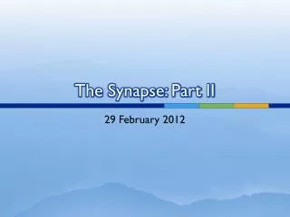 The Synapse: Part II