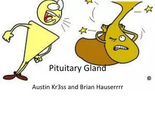 Pituitary Gland