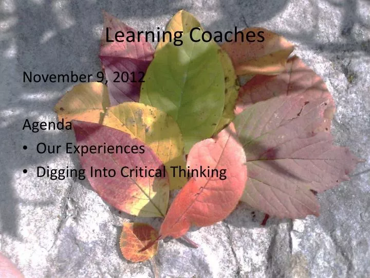 learning coaches