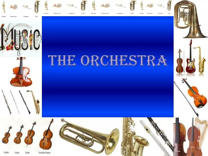 the orchestra