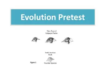 Evolution Pretest