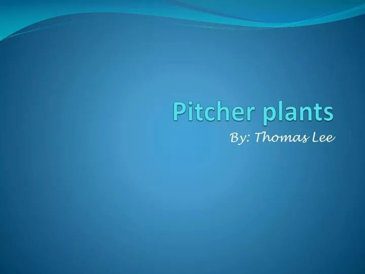 pitcher plants