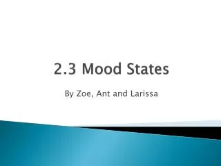 2.3 Mood States