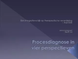 procesdiagnose in vier perspectieven