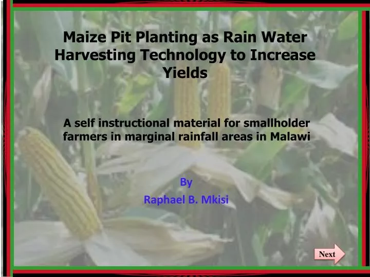 maize pit planting as rain water harvesting technology to increase yields