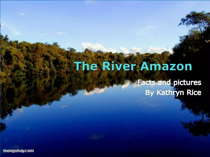 the river amazon