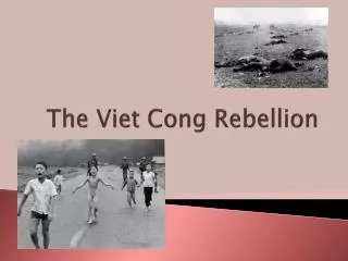 The Viet Cong Rebellion