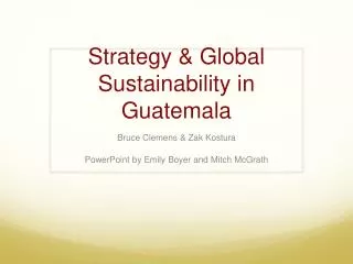 Strategy &amp; Global Sustainability in Guatemala