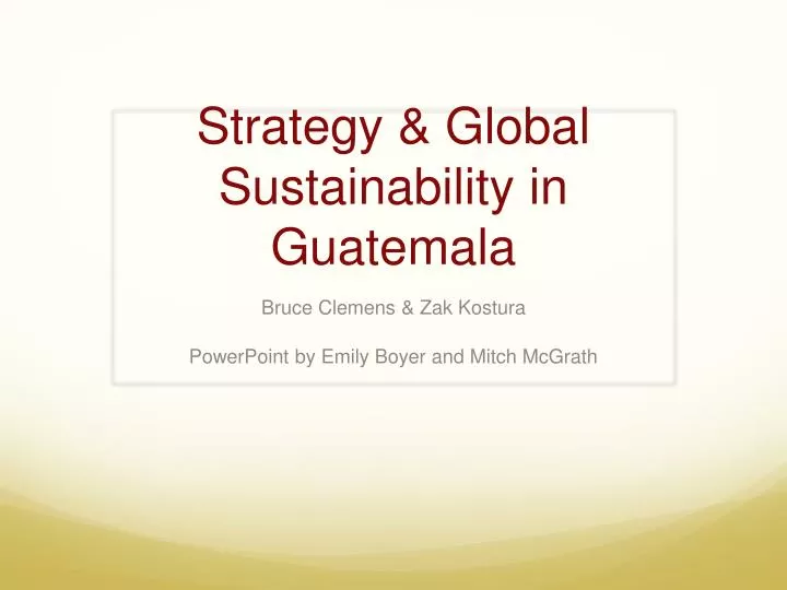 strategy global sustainability in guatemala
