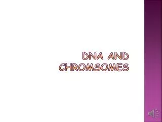 DNA and Chromsomes
