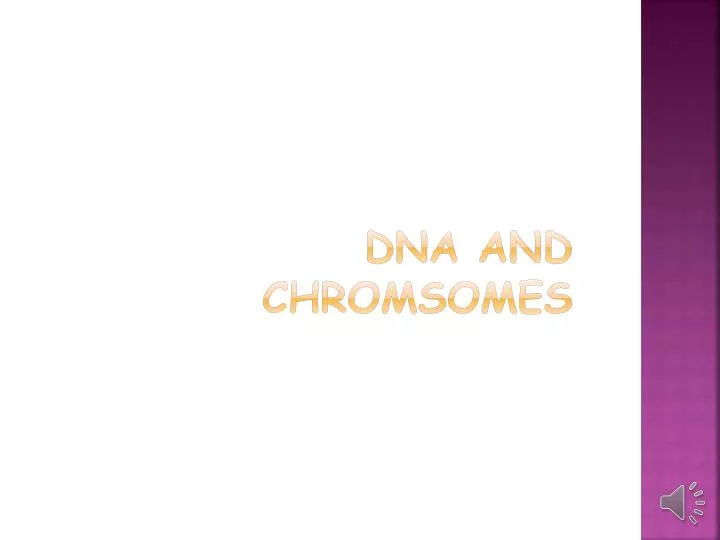 dna and chromsomes