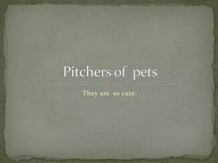 pitchers of pets